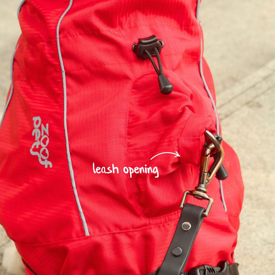 Zoof Dog Raincoat - Red Rascal