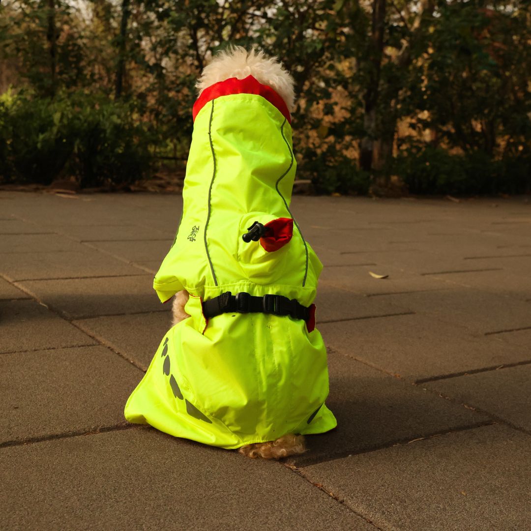Zoof Dog Reversible Raincoat - Double Trouble