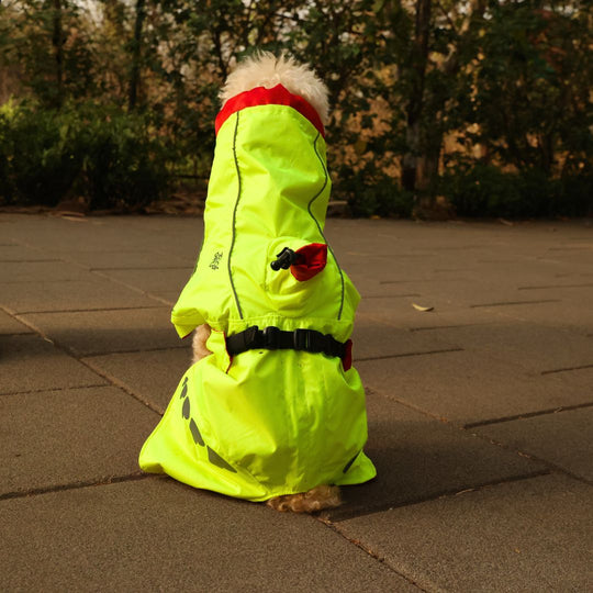 Zoof Dog Reversible Raincoat - Double Trouble