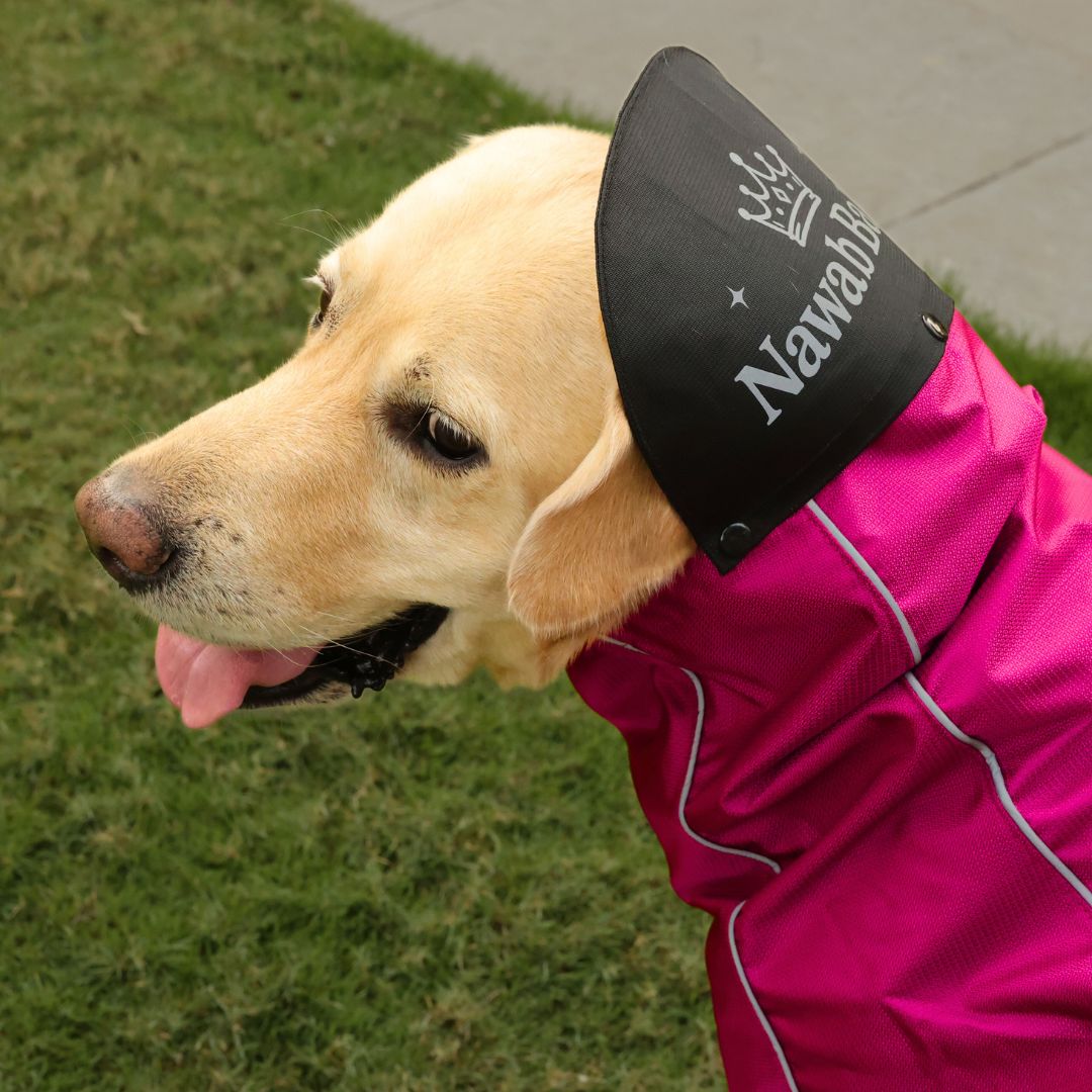 Zoof Dog Raincoat - Nawab Baby