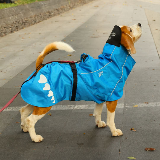 Zoof Dog Raincoat - Baarish Bae
