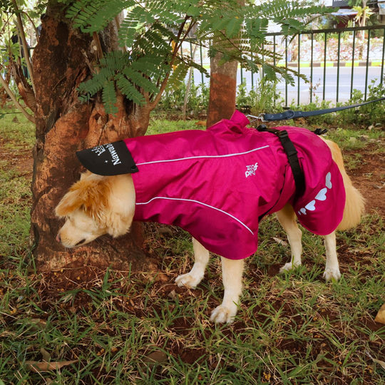 Zoof Dog Raincoat - Nawab Baby