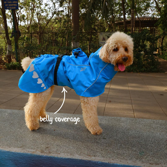 Zoof Dog Raincoat - Baarish Bae