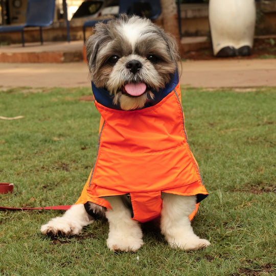 Zoof Dog Reversible Raincoat - Firecracker