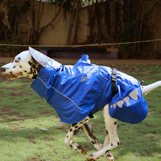 Zoof Dog Raincoat - Toofan Express