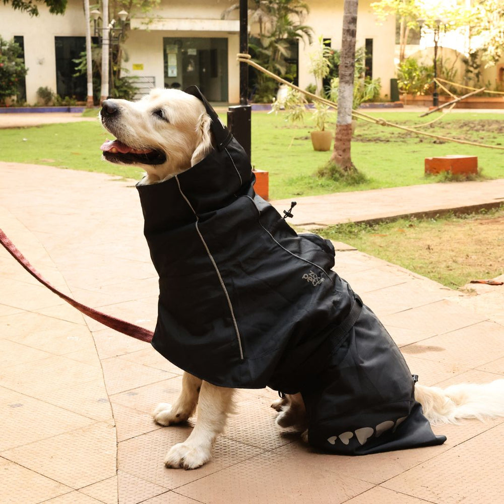 Zoof Dog Raincoat - Lil Monster