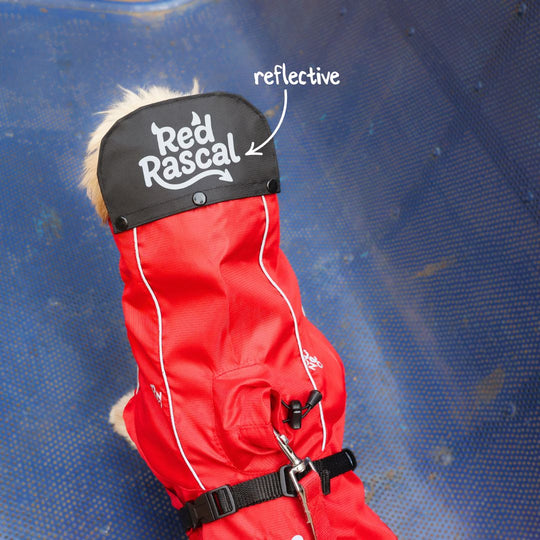 Zoof Dog Raincoat - Red Rascal