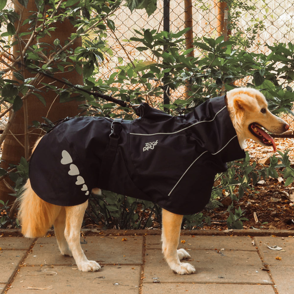 Zoof Dog Raincoat