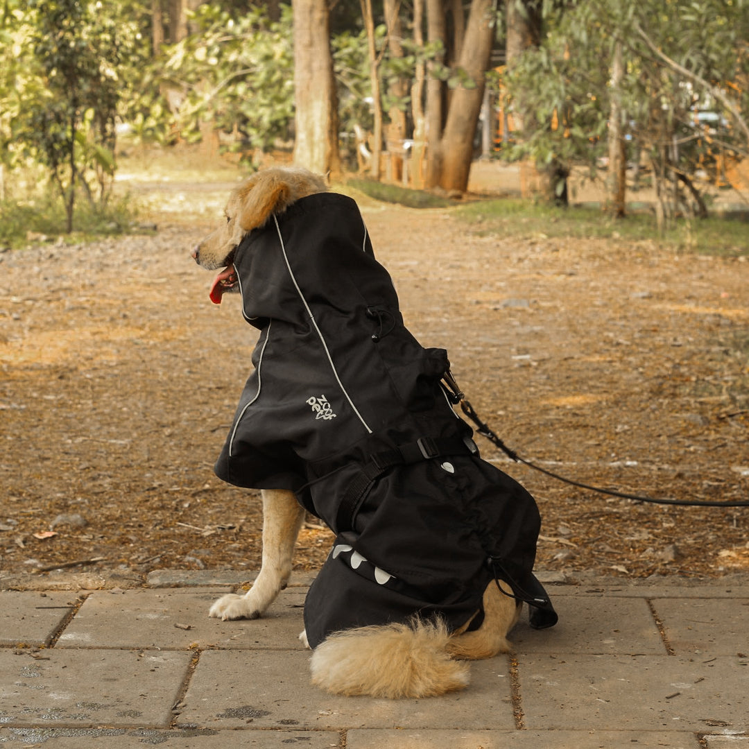 Zoof Dog Raincoat