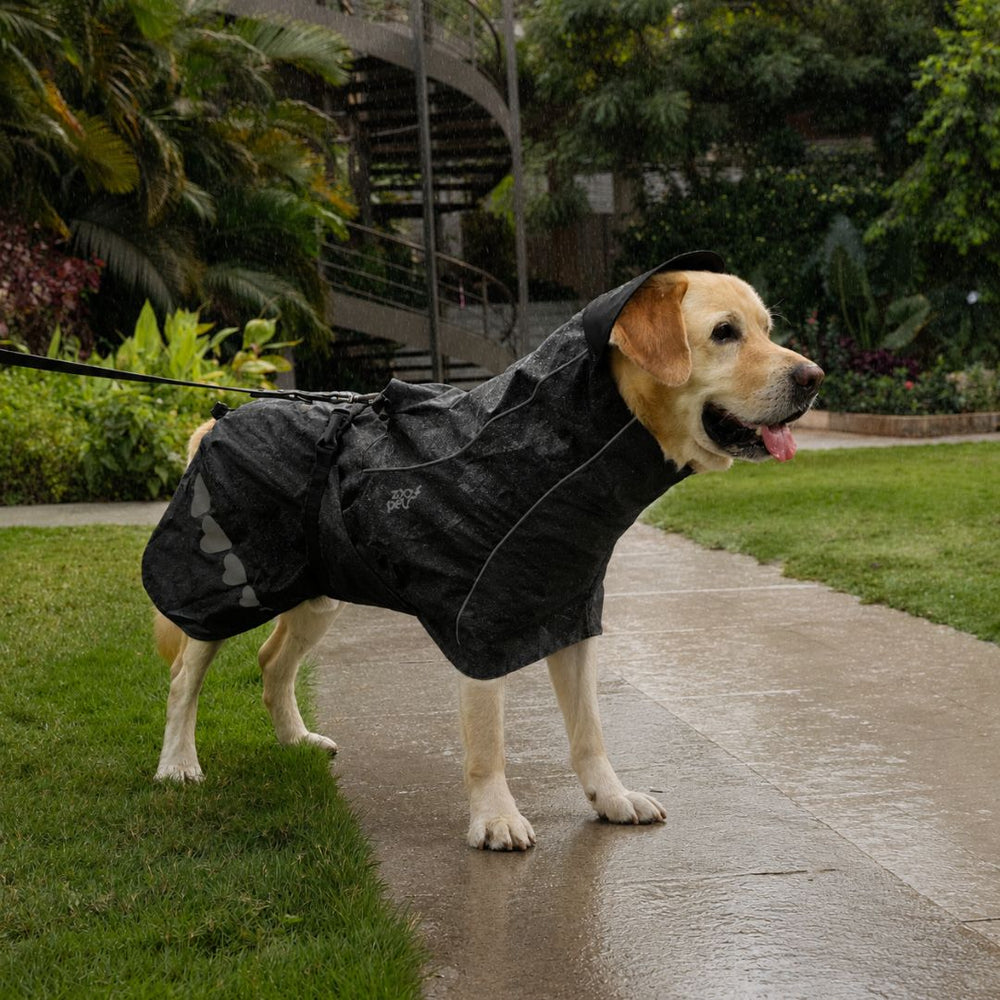 Zoof Dog Raincoat - Lil Monster