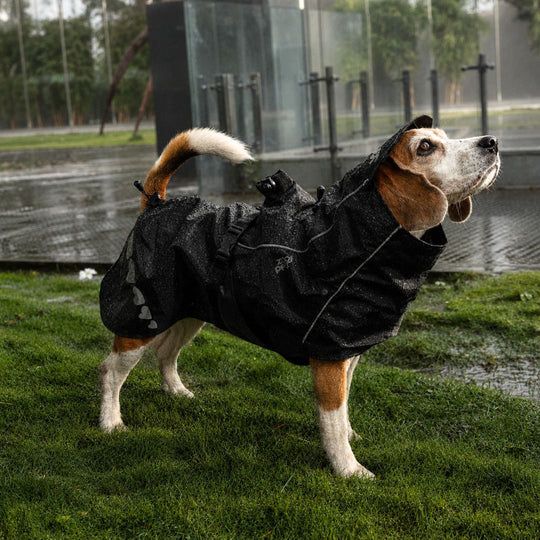 Zoof Dog Raincoat - Lil Monster