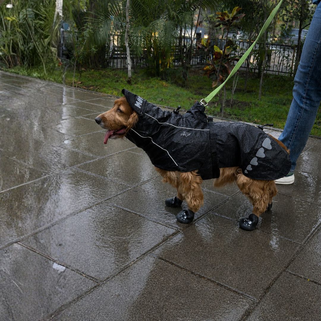 Zoof Dog Raincoat - Lil Monster