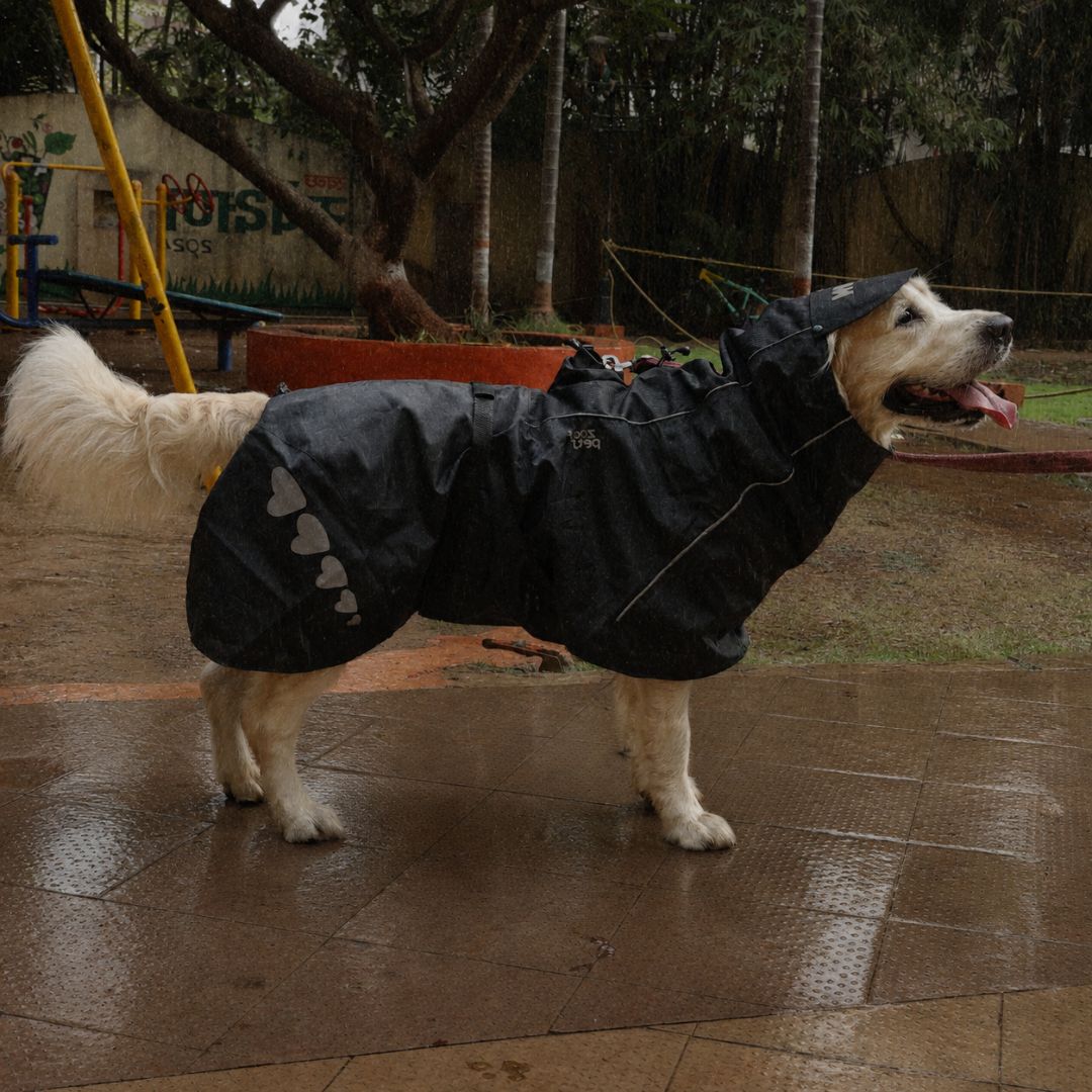 Zoof Dog Raincoat - Lil Monster
