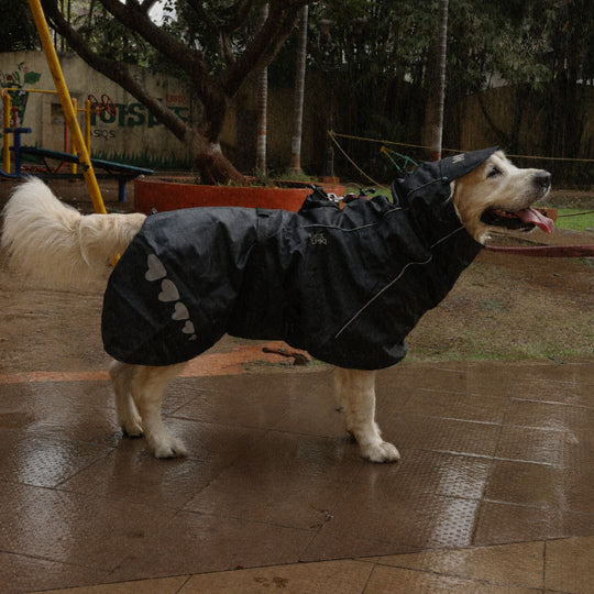 Zoof Dog Raincoat - Lil Monster