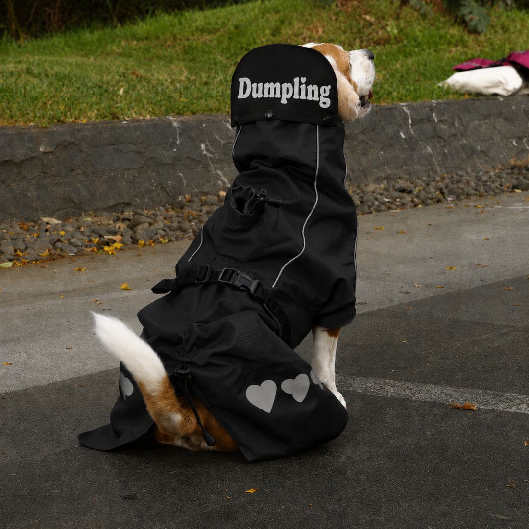 Zoof Dog Raincoat - Lil Monster