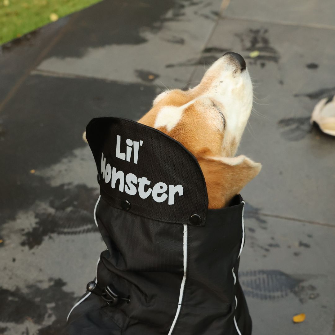 Zoof Dog Raincoat - Lil Monster