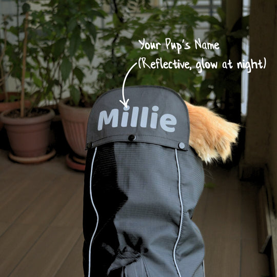 Zoof Dog Raincoat - Lil Monster