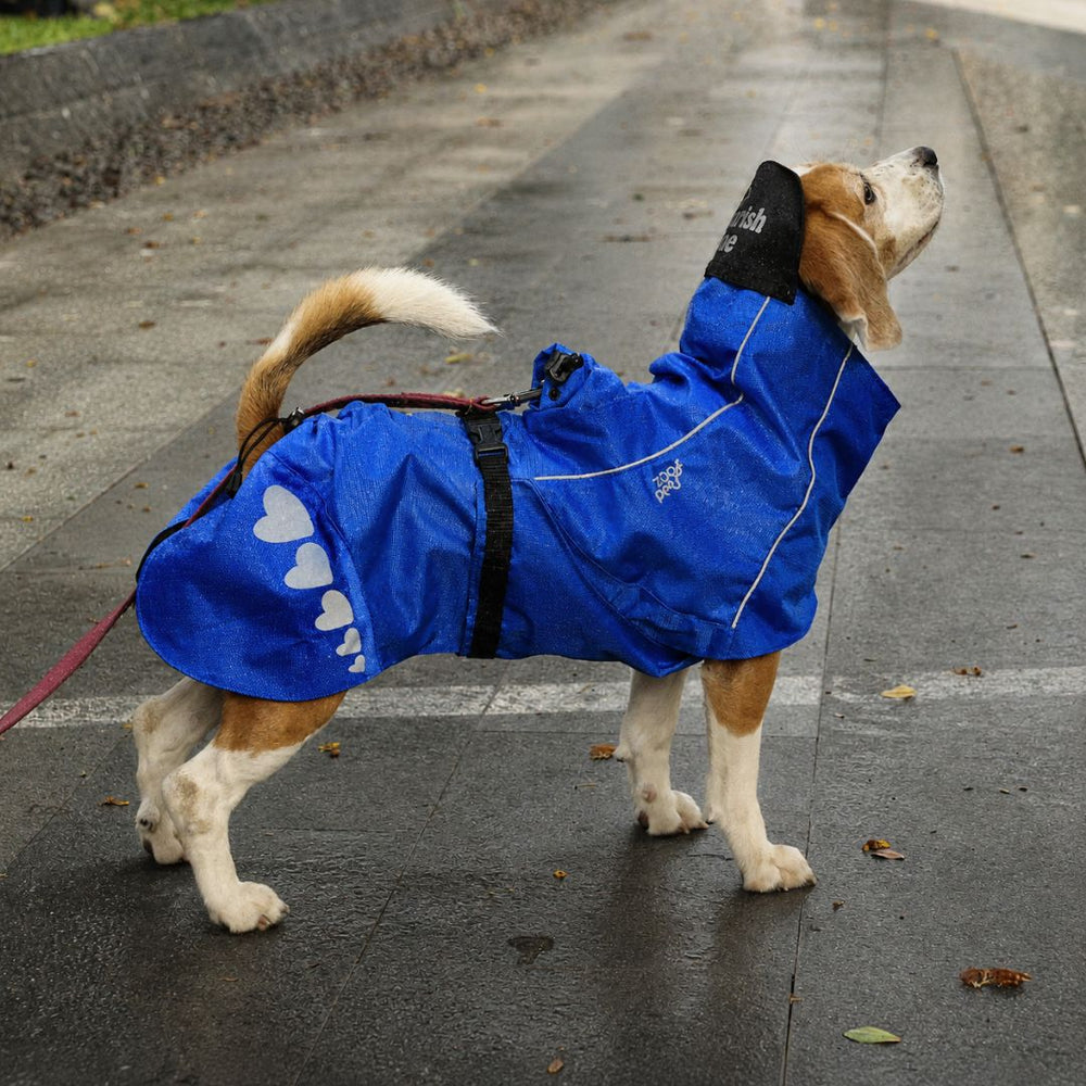 Zoof Dog Raincoat - Toofan Express