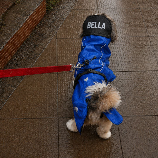 Zoof Dog Raincoat - Toofan Express