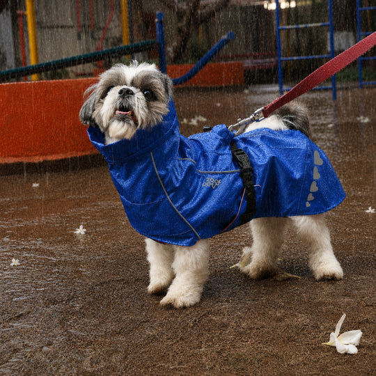 Zoof Dog Raincoat - Toofan Express