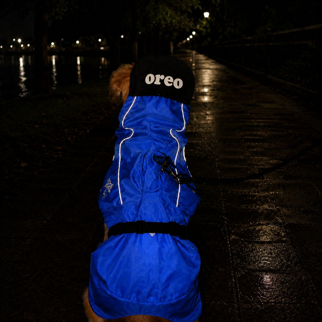 Zoof Dog Raincoat - Toofan Express