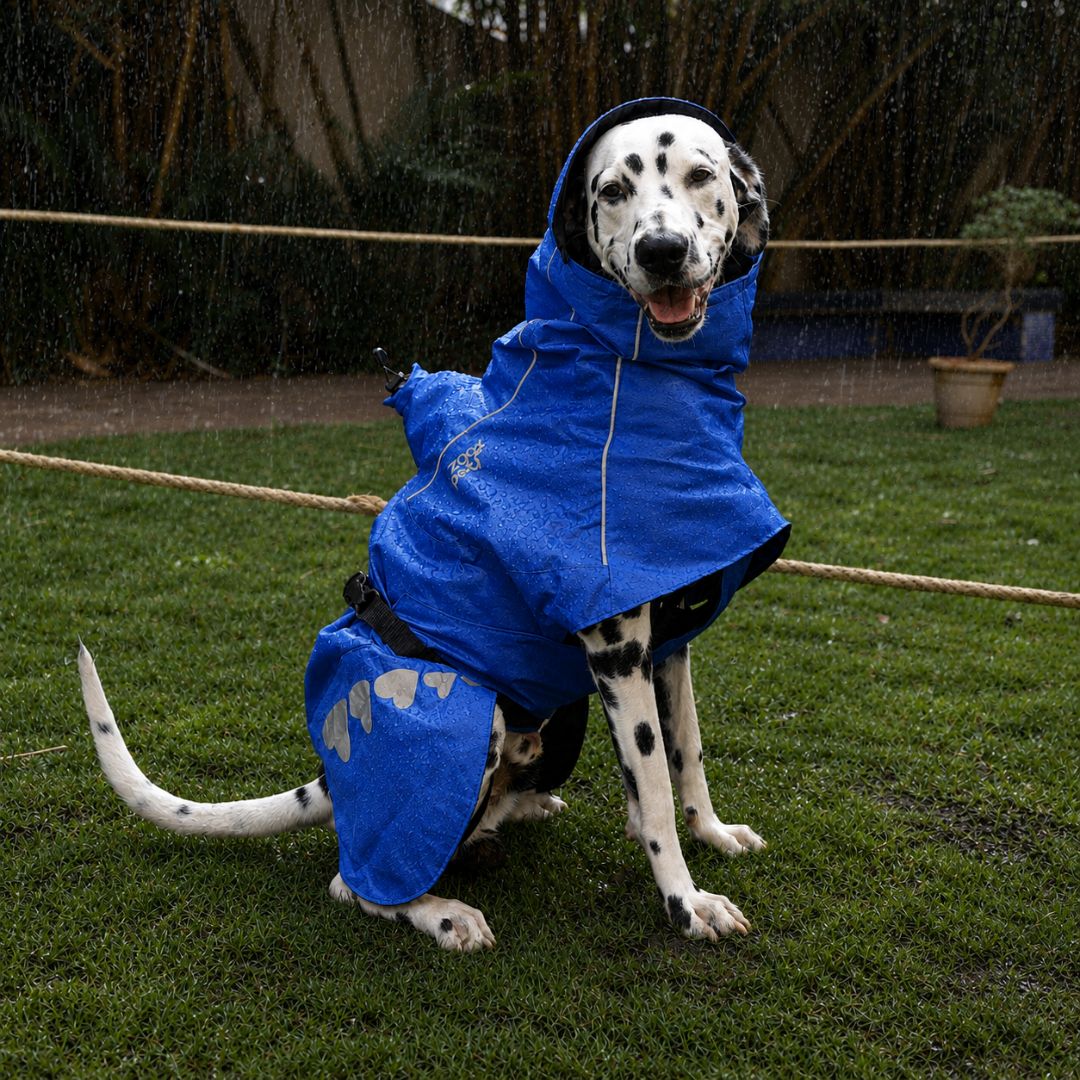 Zoof Dog Raincoat - Toofan Express