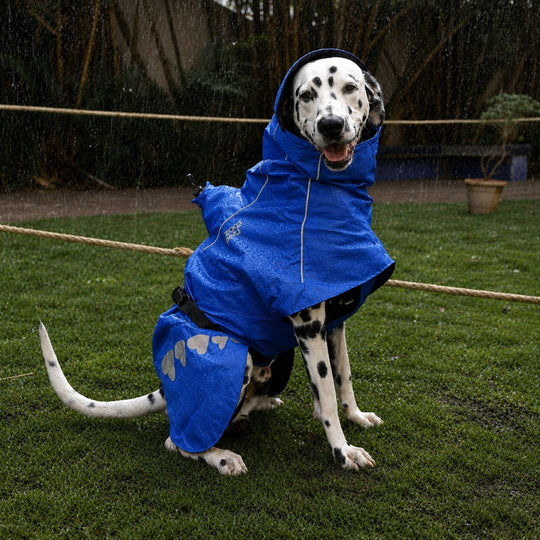 Zoof Dog Raincoat - Toofan Express