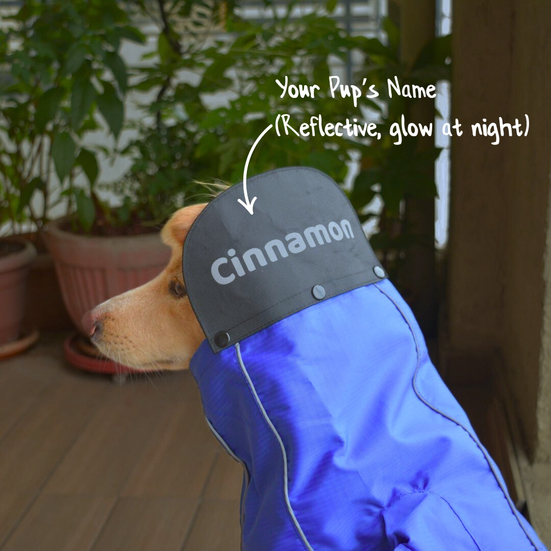 Zoof Dog Raincoat - Toofan Express