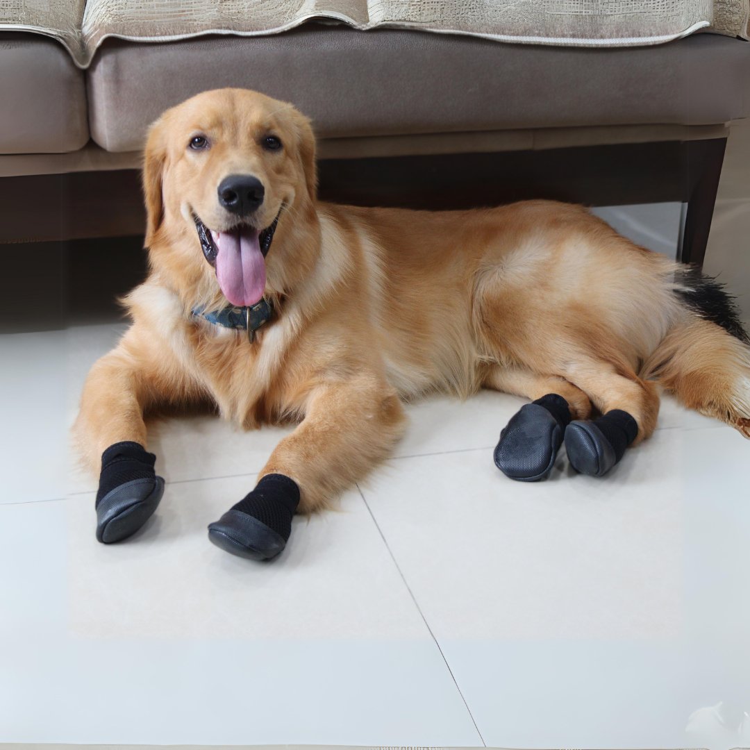 Buy Indoor Shoes for Dogs - Zoof Grips - Anti Slip Dog Shoes – Zoof Pets