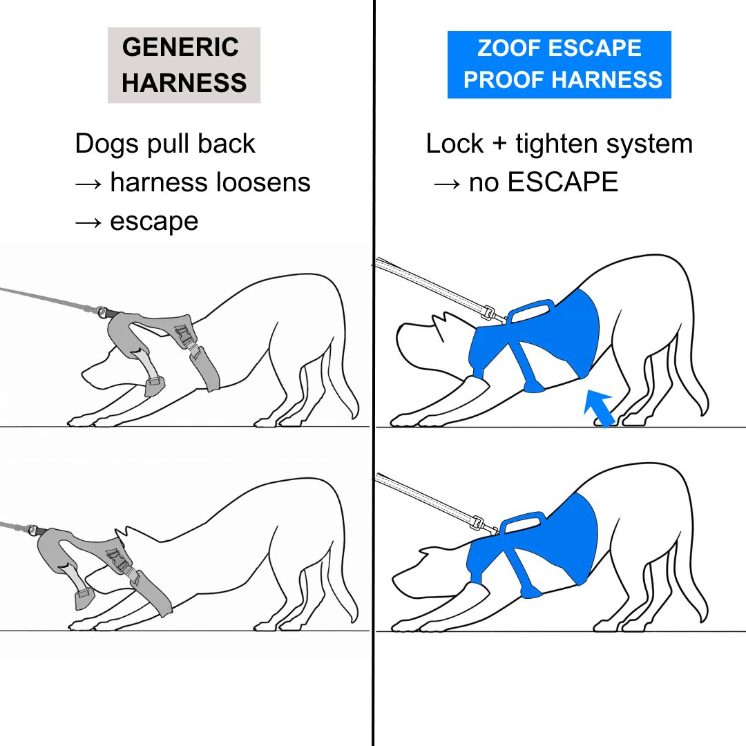 Zoof Escape Proof Dog Harness