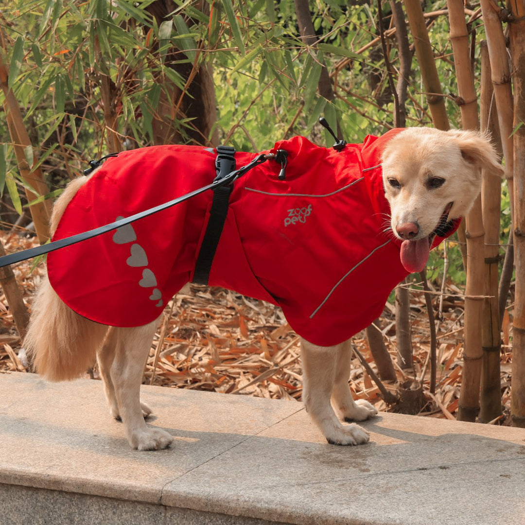 Zoof Dog Raincoat