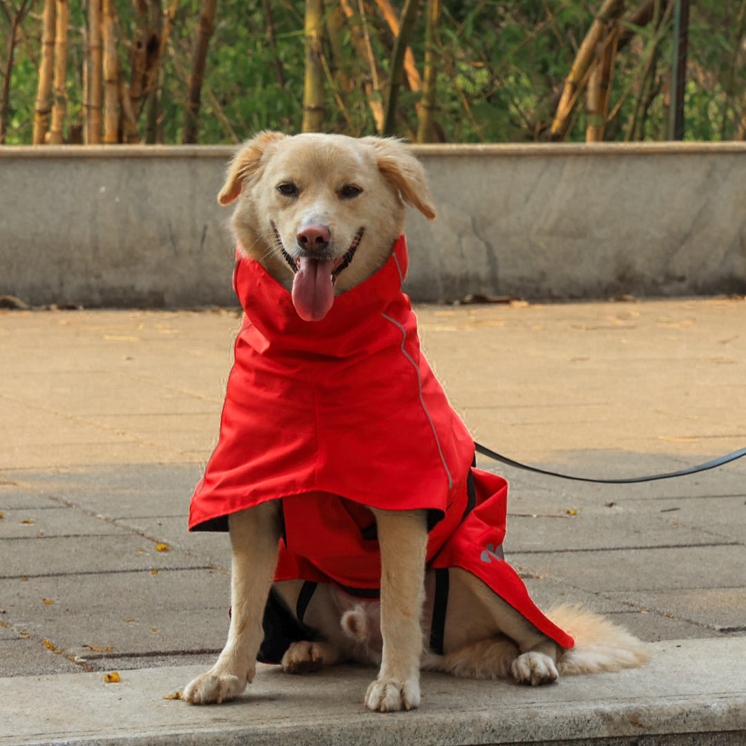 Zoof Dog Raincoat