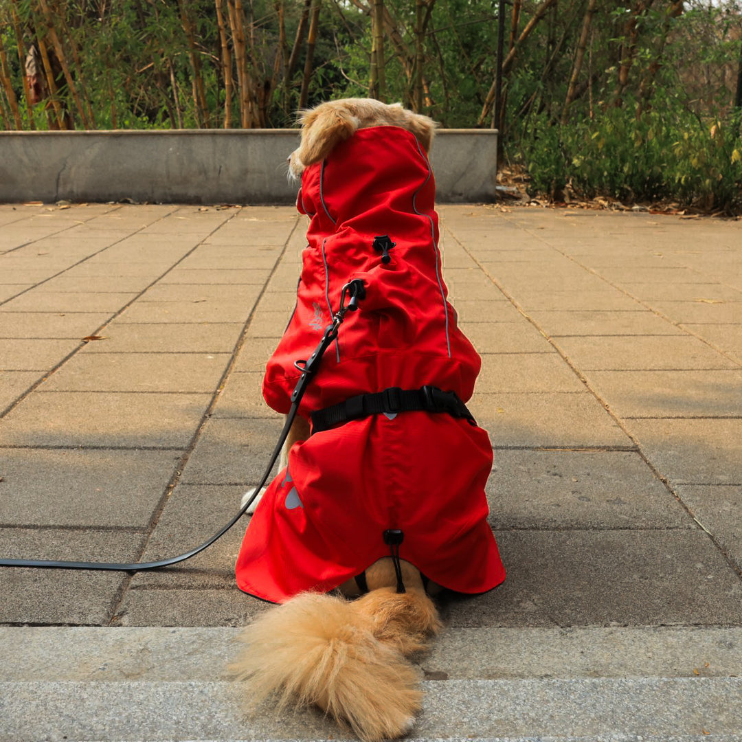 Zoof Dog Raincoat