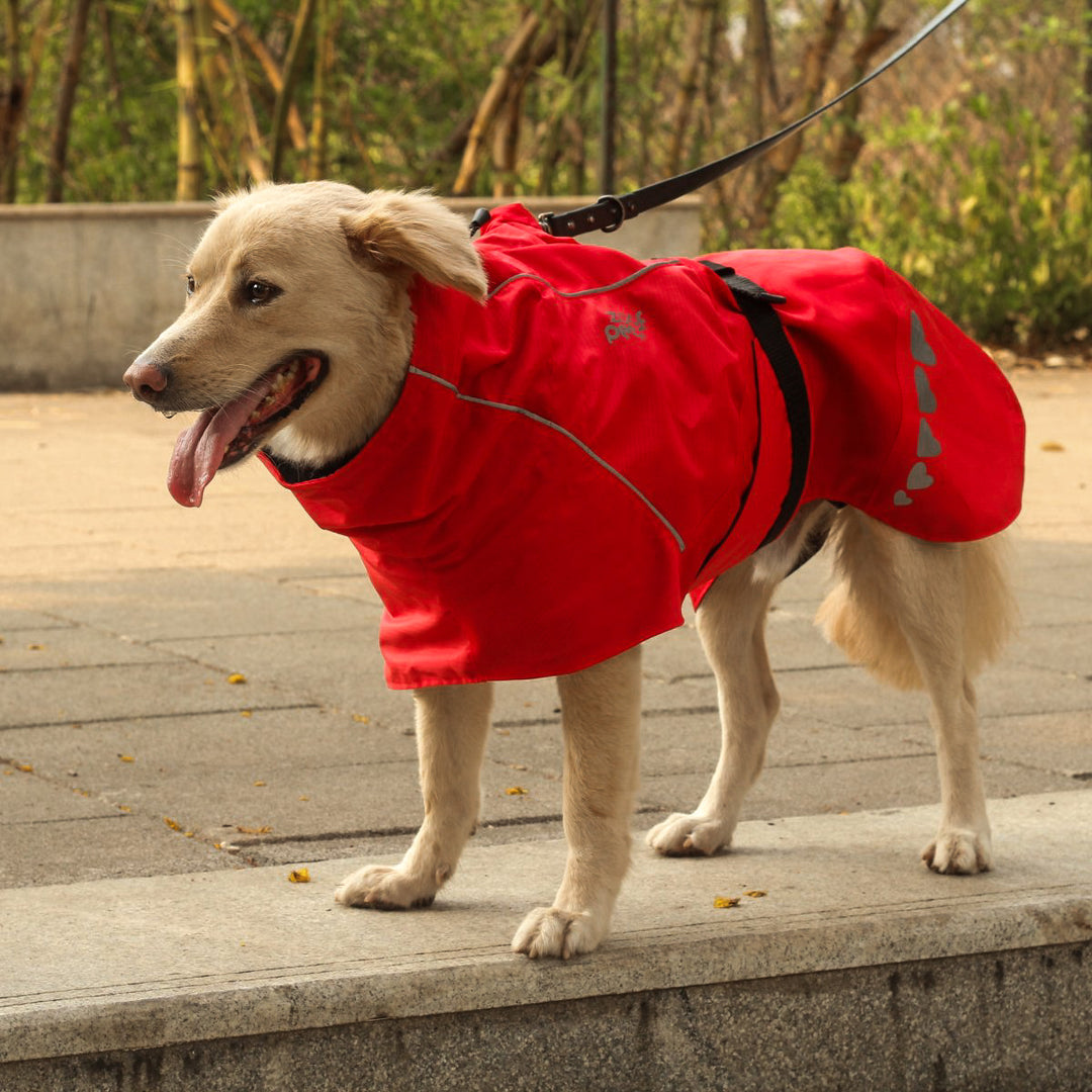 Zoof Dog Raincoat