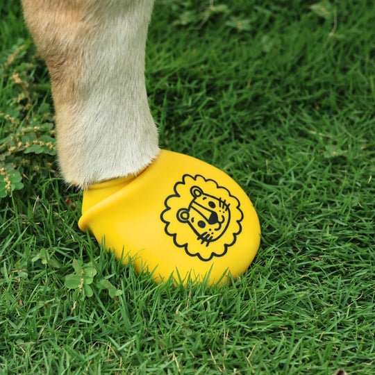 Zoof Boots - Tiny Rawr