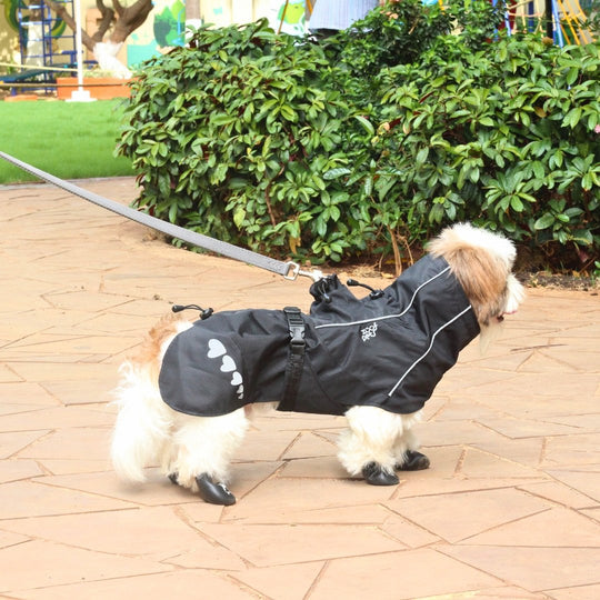 Zoof Dog Raincoat