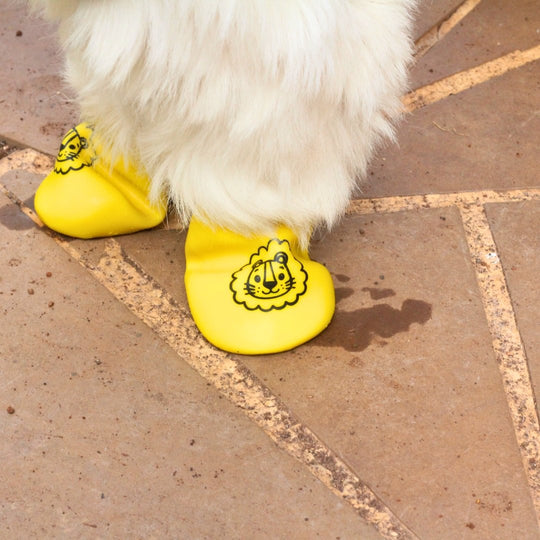 Zoof Boots - Tiny Rawr