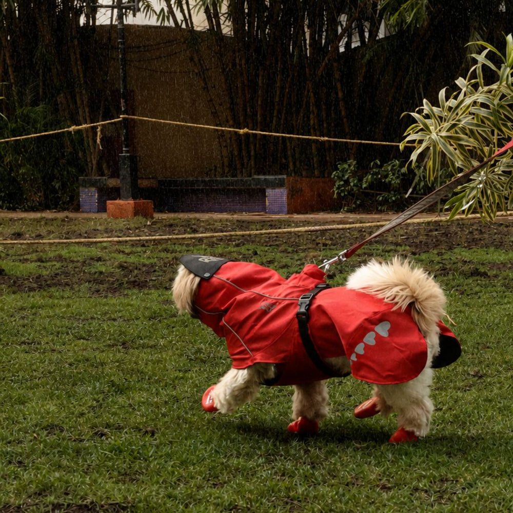 Zoof Dog Raincoat - Red Rascal