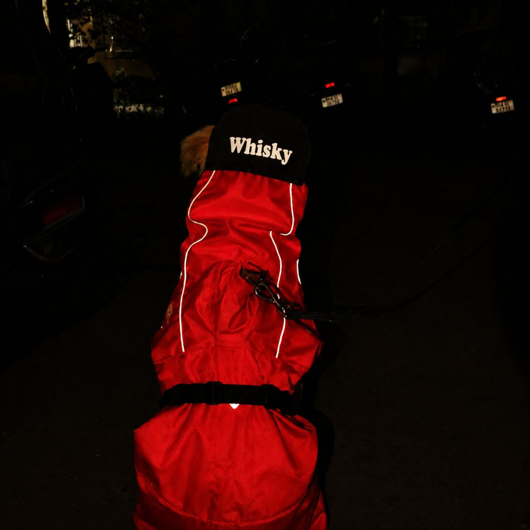Zoof Dog Raincoat - Red Rascal