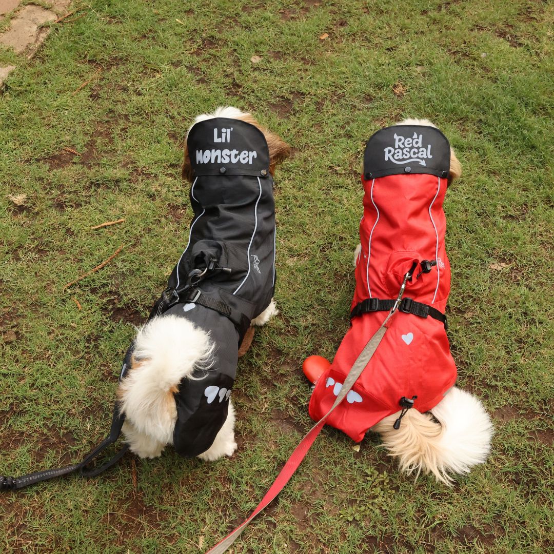 Zoof Dog Raincoat - Red Rascal
