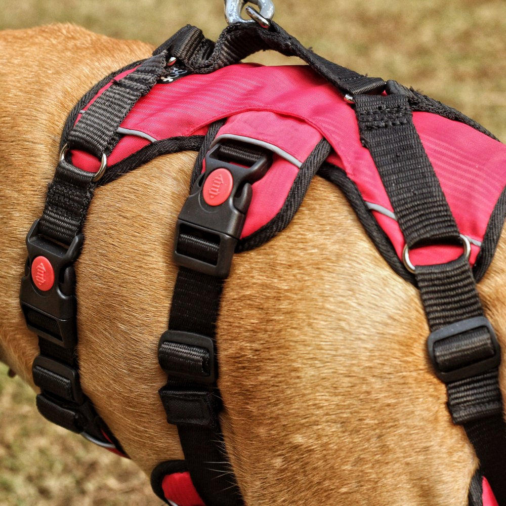 Buy Escape Proof Dog Harness by Zoof Pets Free Size consult
