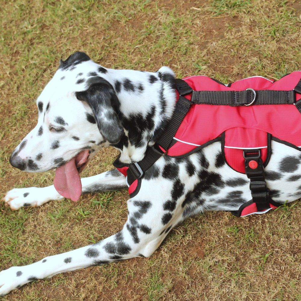 MUMUPET Service Dog Harness, No Pull Easy On and Off India