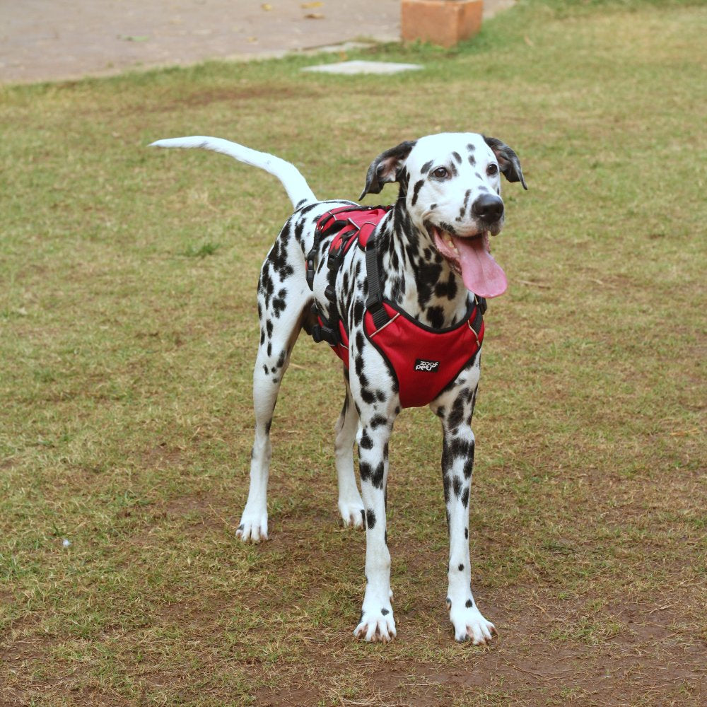 Zoof Escape Proof Dog Harness