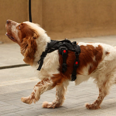 Slip proof dog harness hotsell