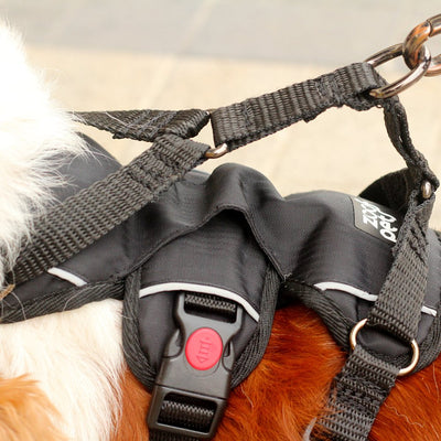Zoof Escape Proof Dog Harness