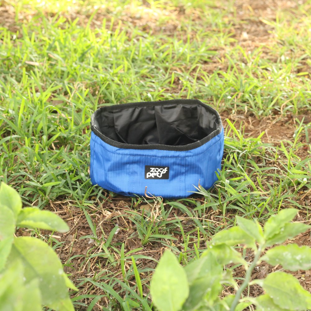 Blue Dog Travel Bowl