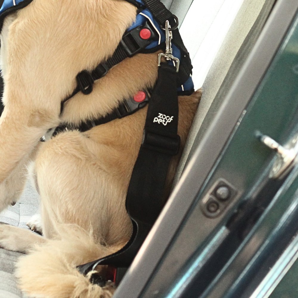 Zoof Dog Car Seat Belt