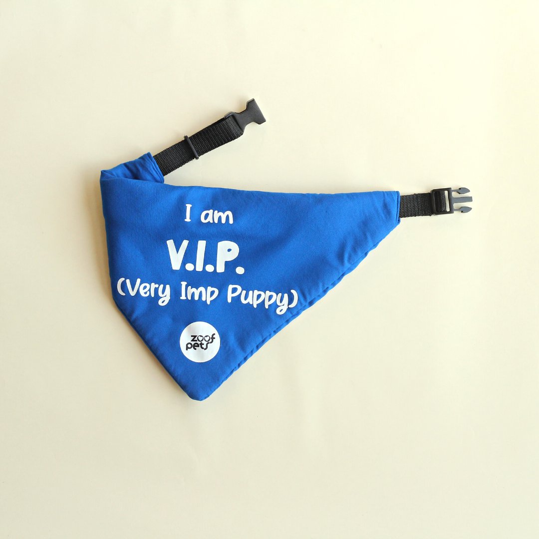 Blue quirky Dog Bandana