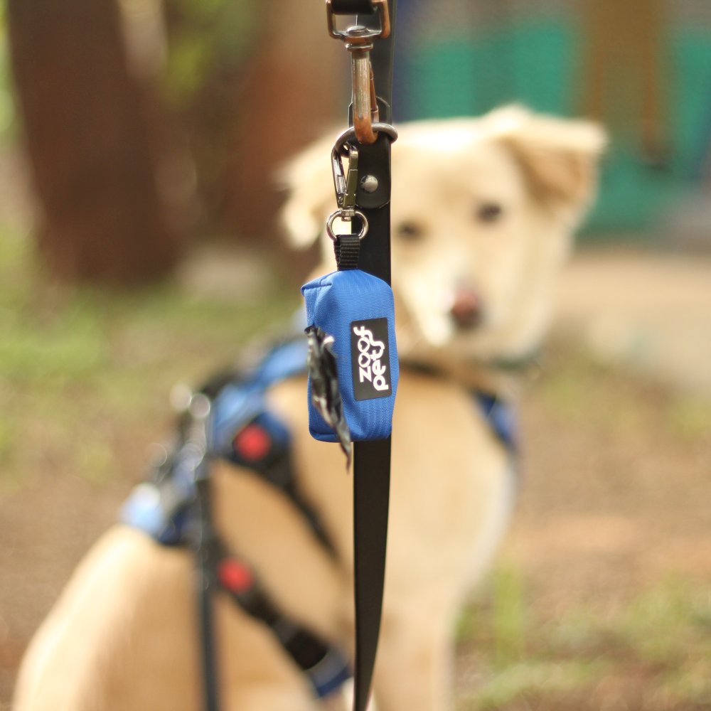 Poop Bag attached to leash