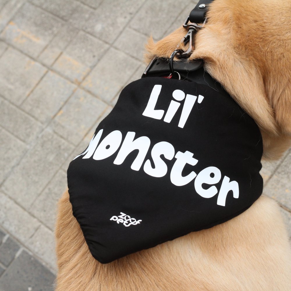 Quirky dog bandana